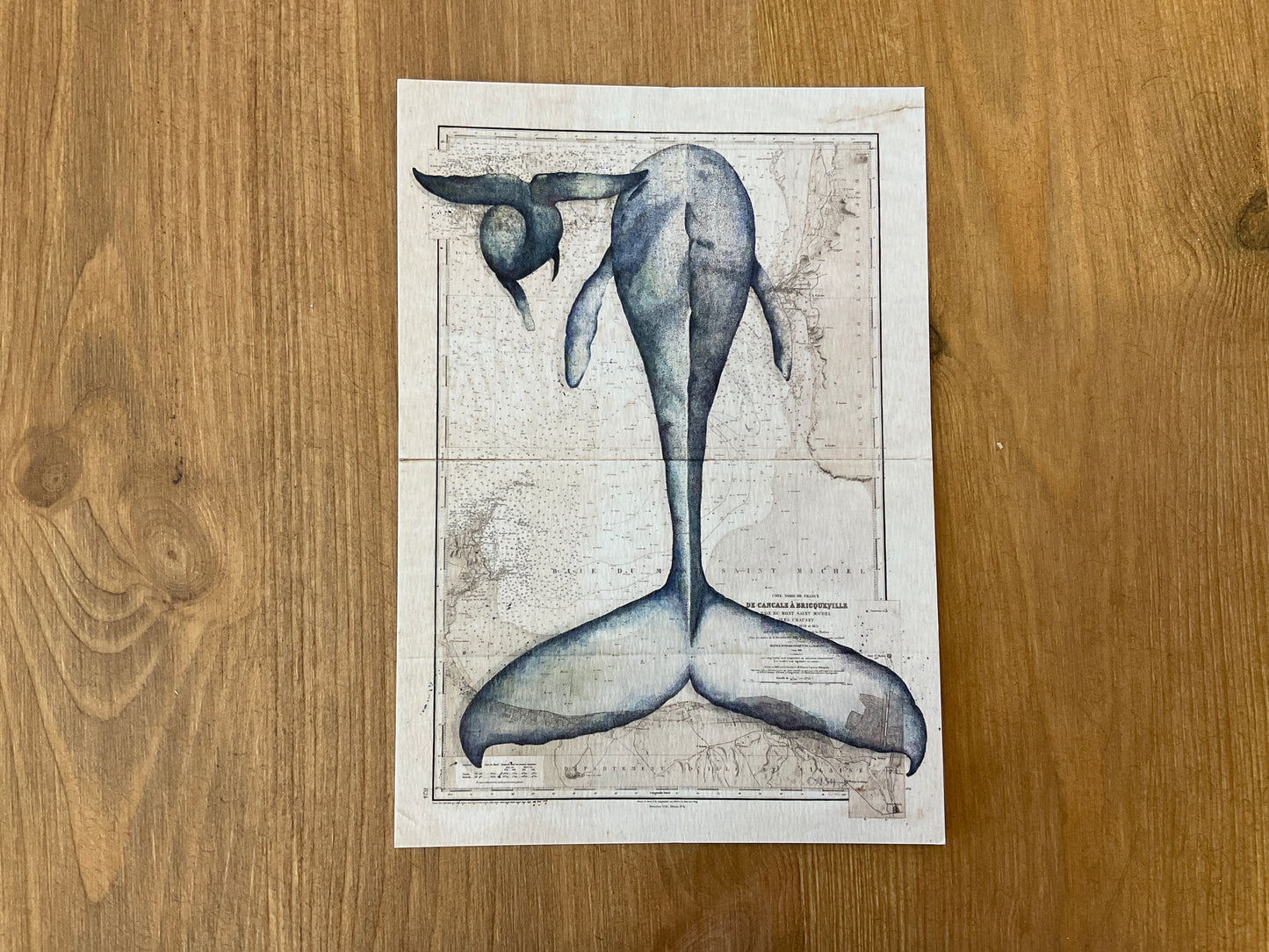 Affiche - Blue Mama la Baleine