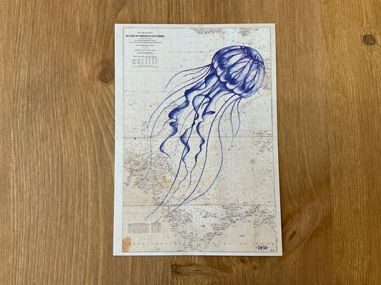 Carte - Jellyblue la méduse