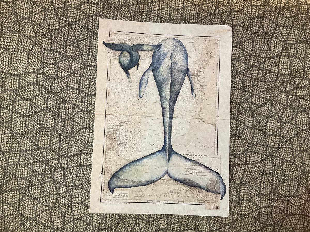 Carte postale - Cash Art