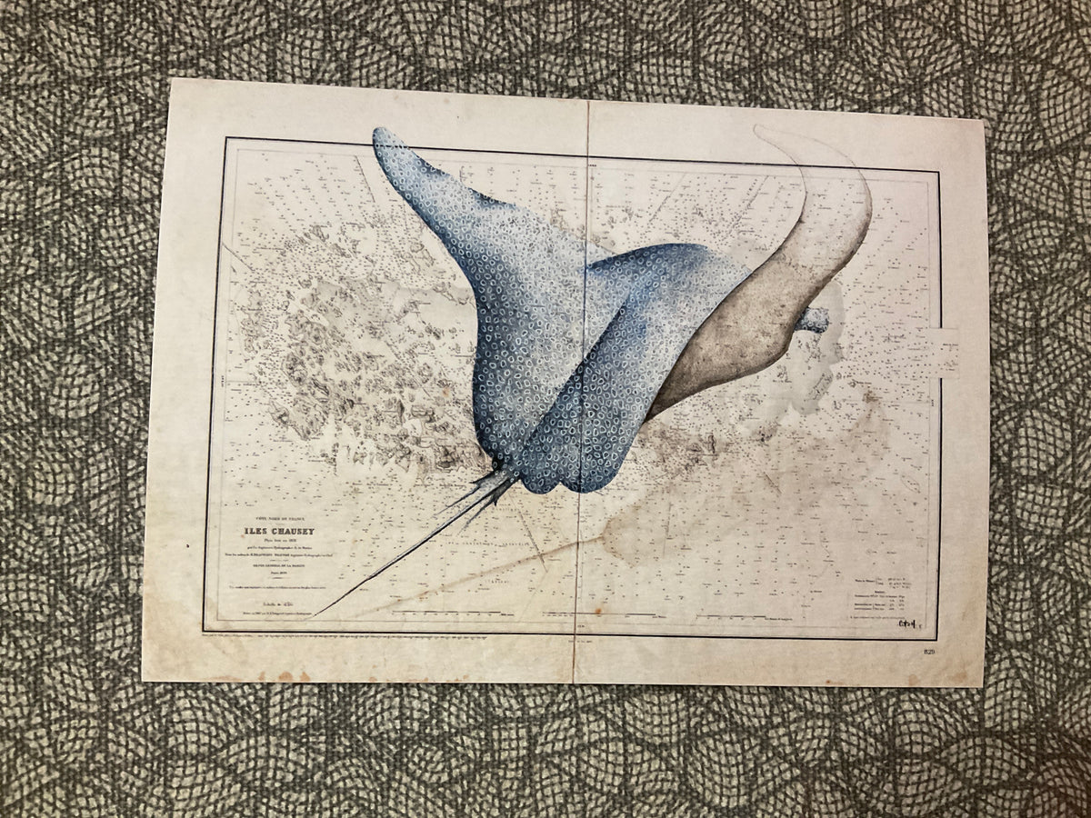 Carte postale - Cash Art