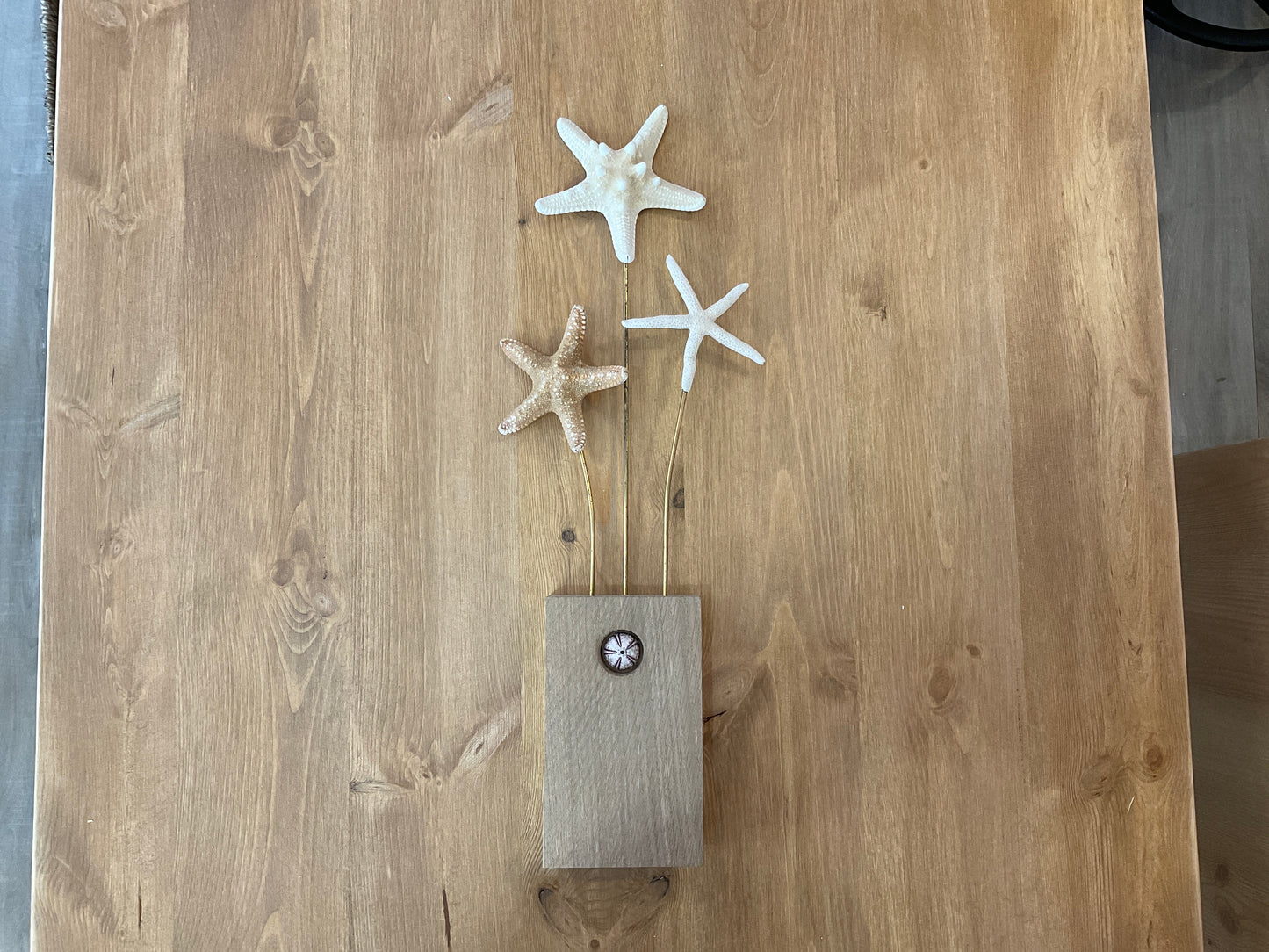 Trio Etoiles de mer