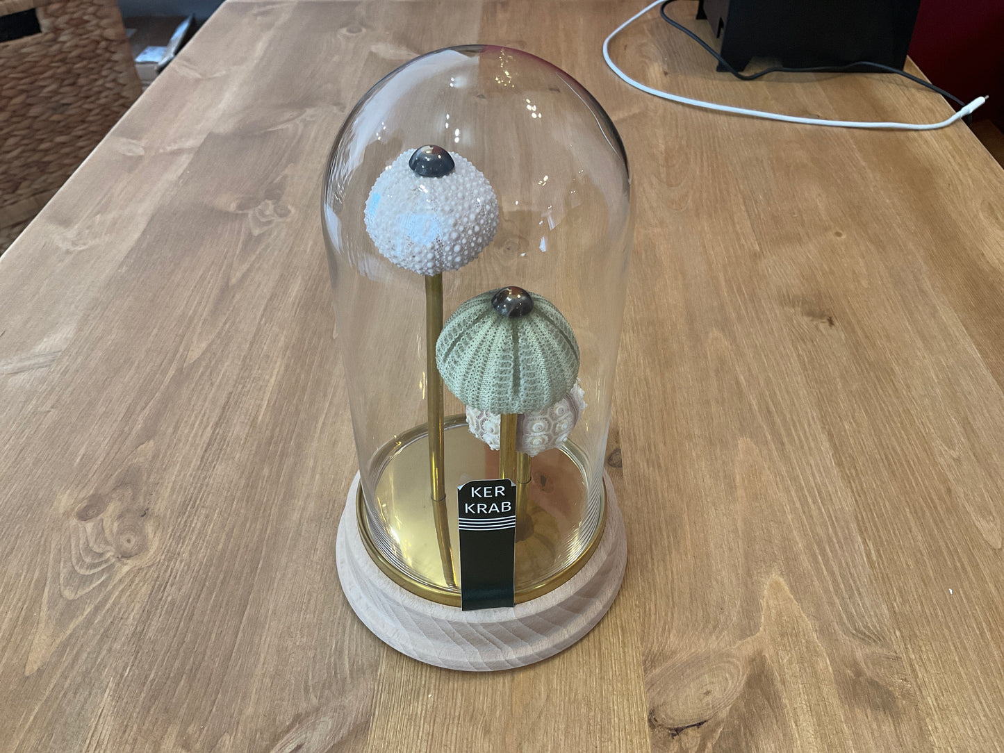 Lampe oursin - Trio base bois - PM