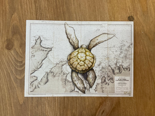 Carte postale - Arlette la Tortue