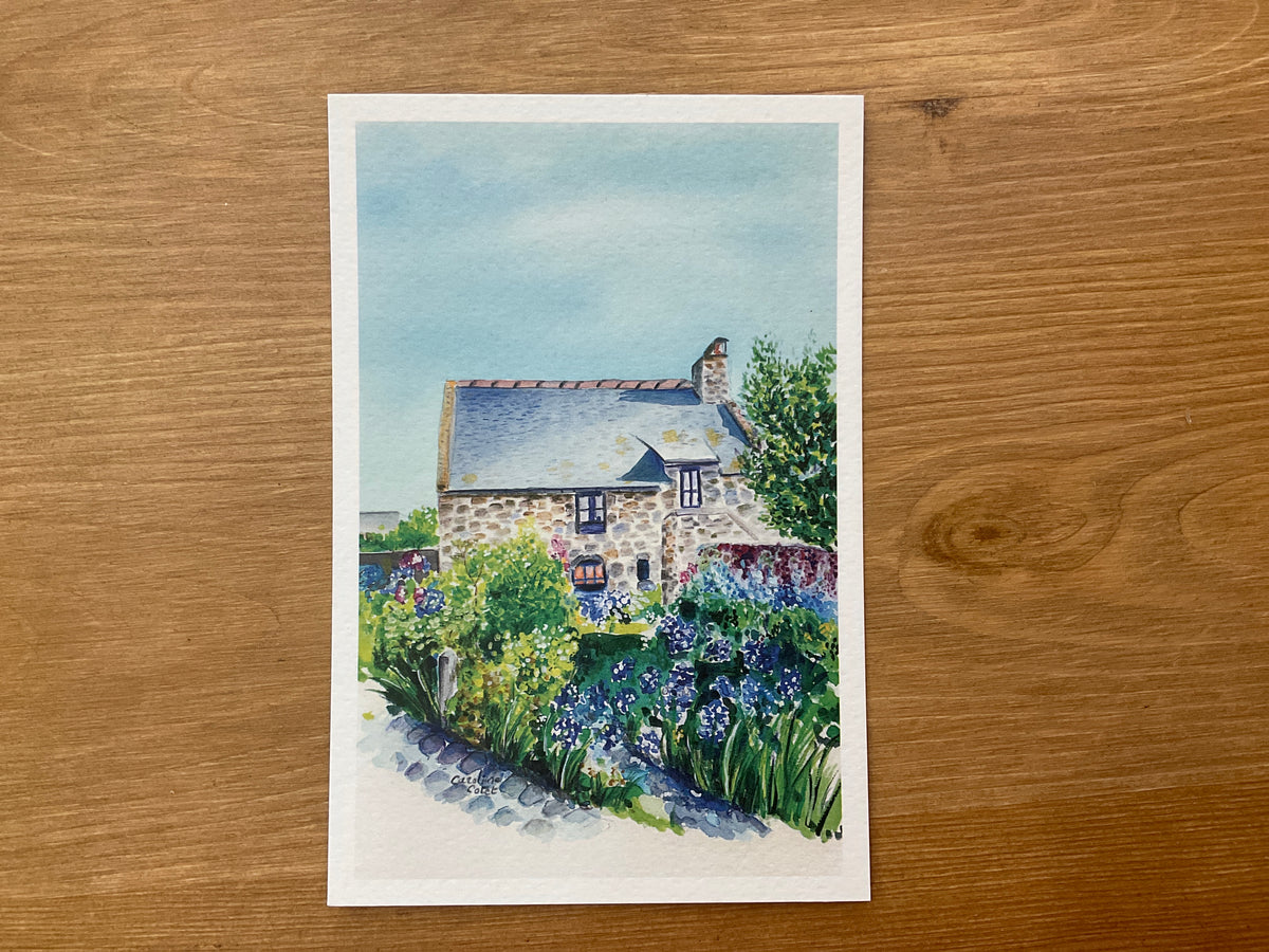 Carte - Aquarelle